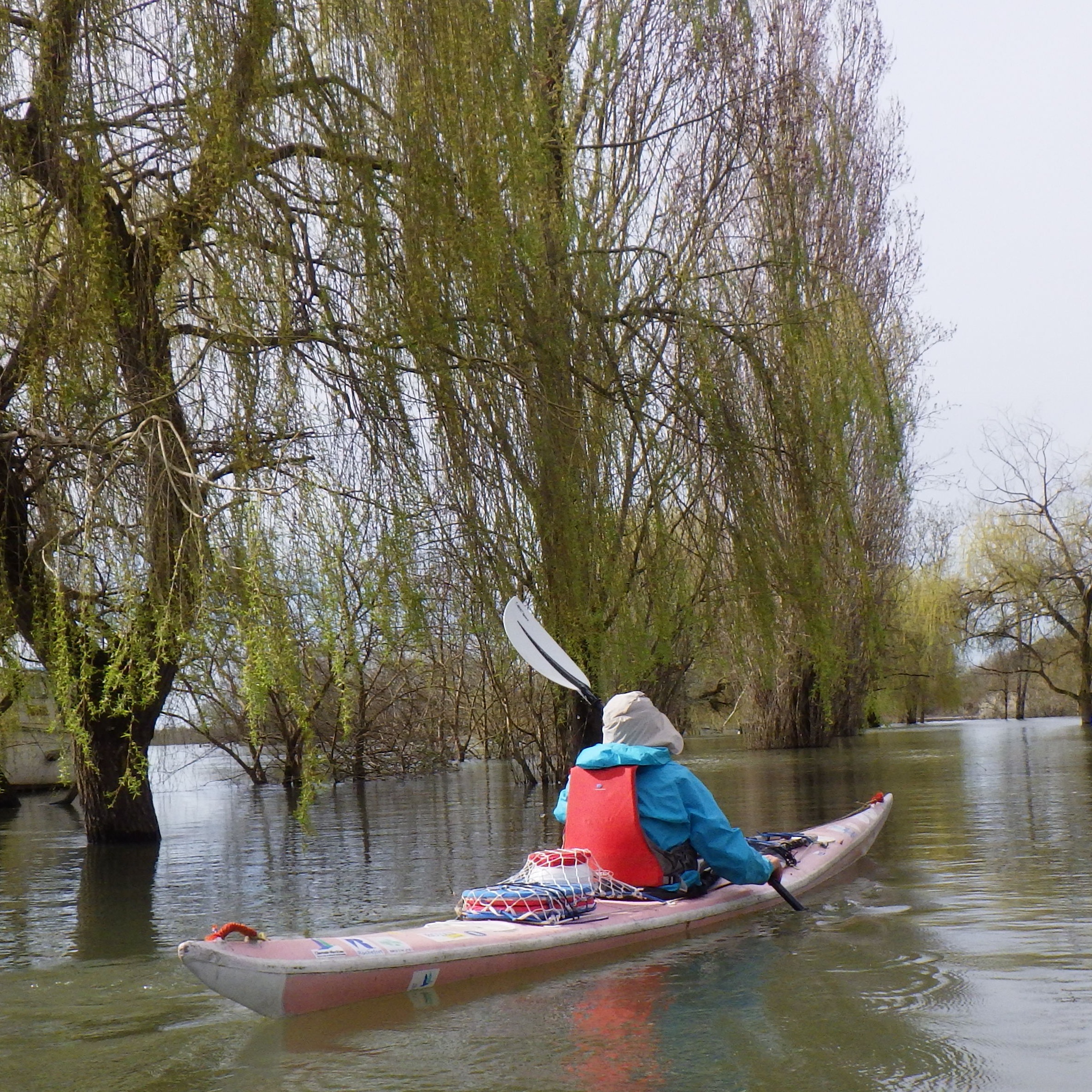 Photo de Pierre BRIENNE